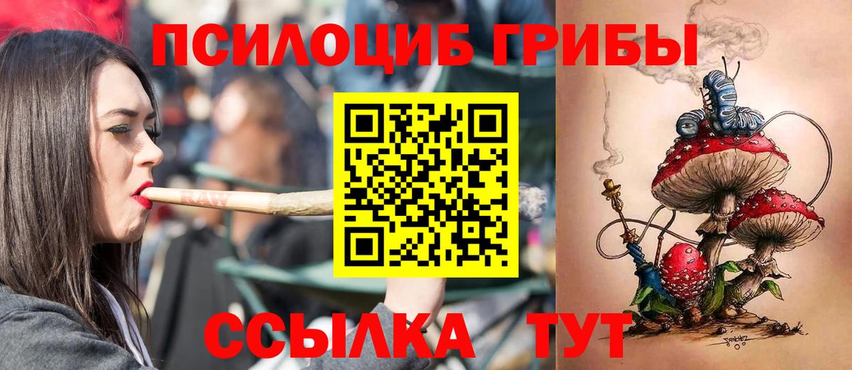 Тулун  Псилоцибиновые грибы прущие грибы  Вход с VPN  Галлюциногенные грибы MAGIC MUSHROOMS 
